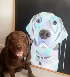 这些小情绪都写在脸上的狗子,还真是现成的表情包呢