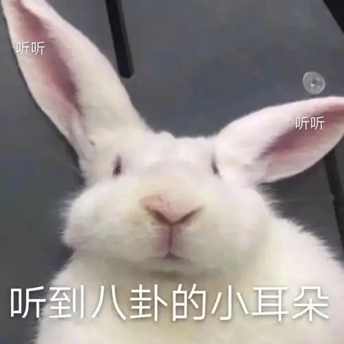 今日表情推荐,527