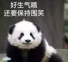 盖着棉被纯聊天表情包熊