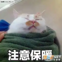 我这一辈子到底会是什么命表情包高清无码吃瓜群众喵星人表情包下载乐游网游戏下载