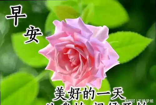 20240127今日最新早上好动画表情包2023创意好看的