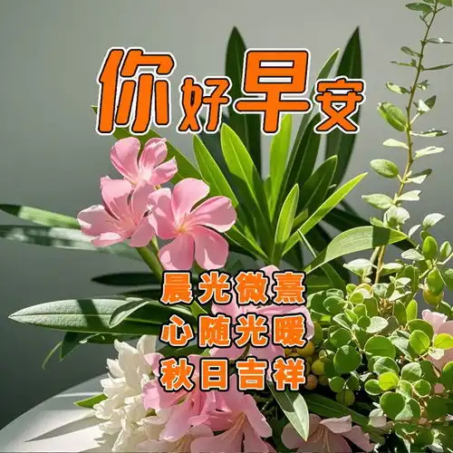 清晨吉祥如意的早上好问候语,愿你健康平安每一天