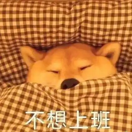 自律,从冬日的早起开始