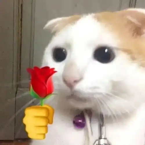 可以给我推荐一些显白的延长甲款式吗