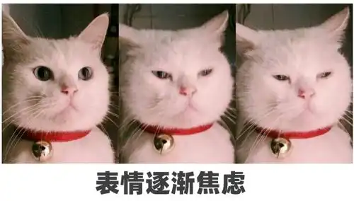 3岁前有这些表现,家长一定要重视严重缺乏可能影响大脑发育