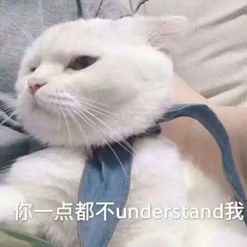 搞笑微信表情包猫咪下课