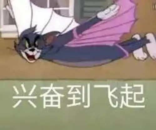 high表情包猫咪