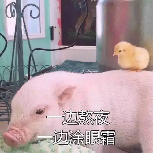 在这家夜夜笙箫的啤酒屋里,让我们谈一谈养生