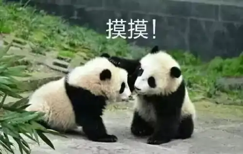 从本周的惊悚现实中给你找出一些聊以慰藉的新闻