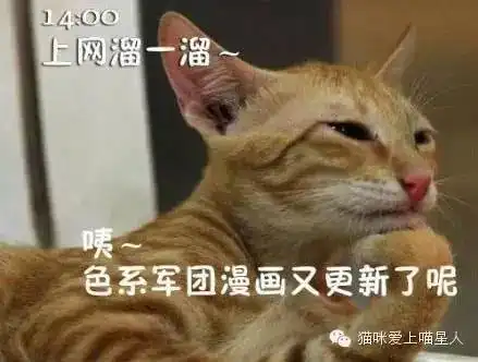搞笑微信表情包猫咪上班
