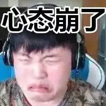 我tm心态崩了呀表情包