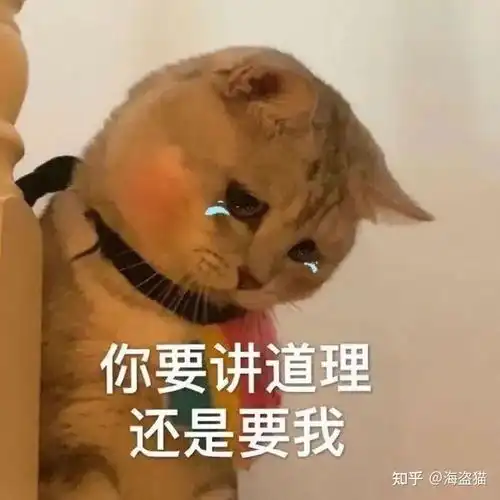 按这4步做彻底去除猫咪尿骚味