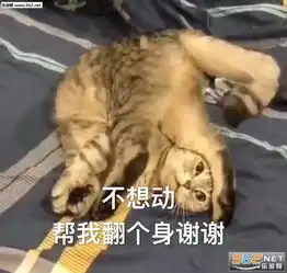 老子游戏菜嘴巴又不菜表情包弟弟我都已经神装了表情包图片下载乐游网游戏下载