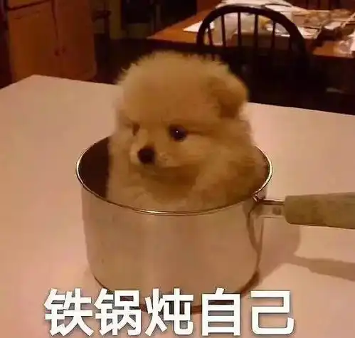 不仅高考舞弊还实力坑爹这回他真的要凉了吗