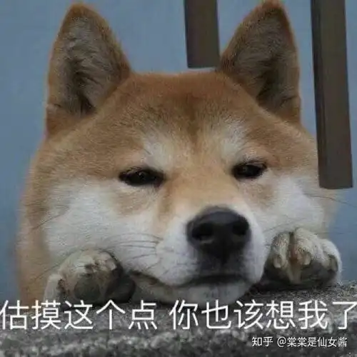 那些撩汉专用的表情包