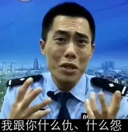 搞笑的表情视频警察