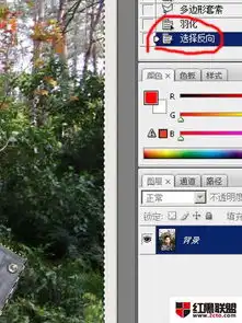 怎样改变照片中背景的色彩