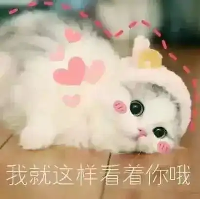 点歌台送给我饼干餐厅所有的小伙伴们