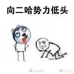 哈士奇微博表情包秋田犬