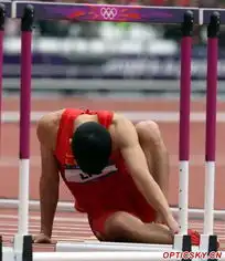 刘翔摔倒退赛,告别奥运