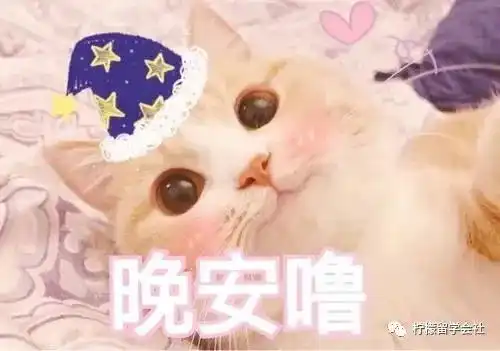 柠檬留学日本大学巡礼日本关西学院大学学费宿舍和食堂