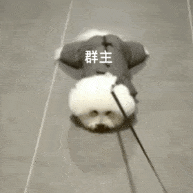 搞笑表情包拿来吧你