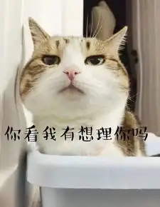都9012年了,那些关于猫咪的谣言,你还在相信