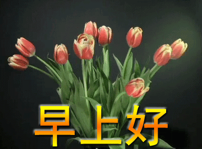 冬日早上好动态图片问候表情包