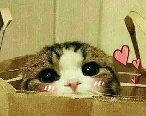 女玩家吃鸡绝地求生是一种怎样的体验