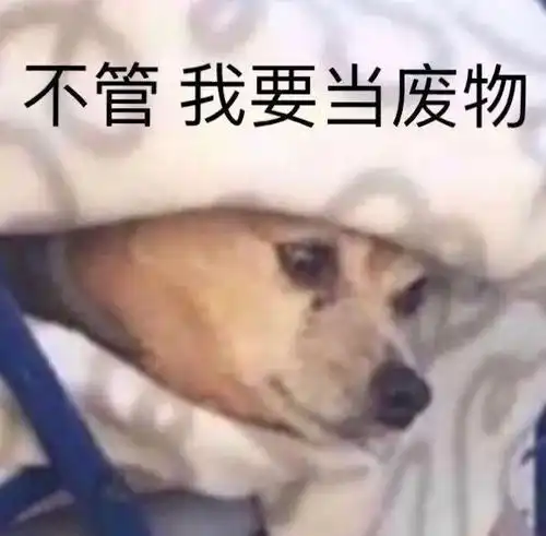 沙雕表情包也许我注定会孤独终老