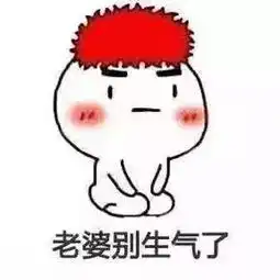 向老婆跪下认错表情包