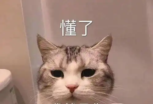 好消息厦门这6个路段非工作日将全天免费停具体在