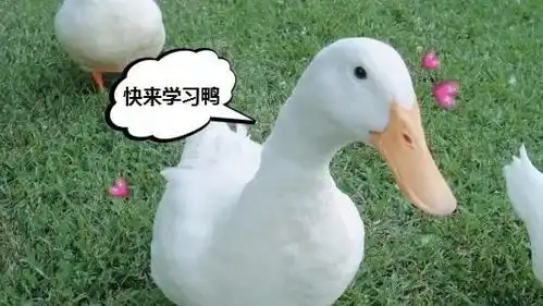 青年大学习第三季第四期来啦蚌埠青年速戳学习