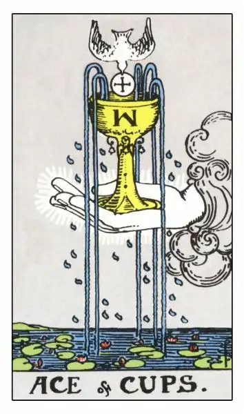 塔罗牌占卜表情包运势