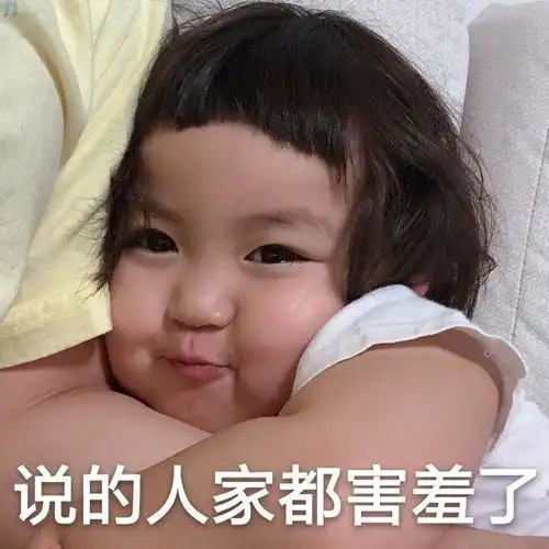 搞笑表情包人家是正经小猫咪