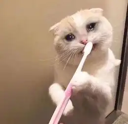 顶着烈日跑完800的我才能称为财大战狼