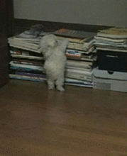 搞笑gif宝宝,你吃饭的表情太逗了,已然成了表情包