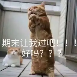 浪起来表情包图片沙雕