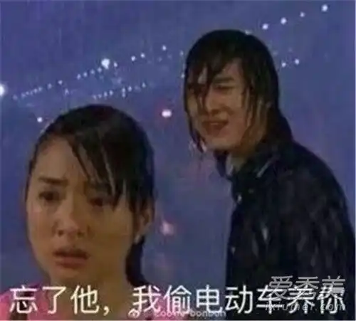 偷电瓶车养你什么梗含义解析偷电瓶车养你表情包大全