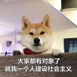 接单表情包搞笑处对象