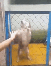 搞笑gif七夕回来,看见室友妹子下楼的姿势,我仿佛懂了