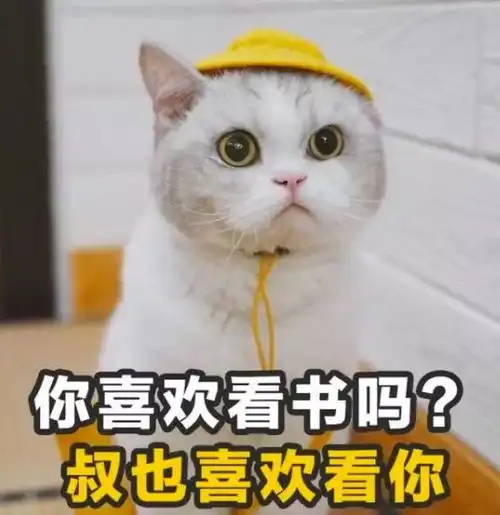 网红小胖妞表情包土味