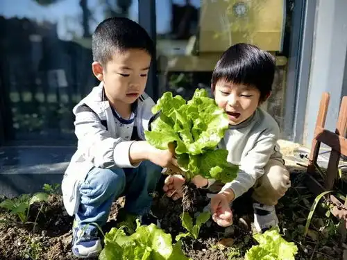 新民教育观察人工智能融入生活,专家呼吁仍要为儿童打造真实场景