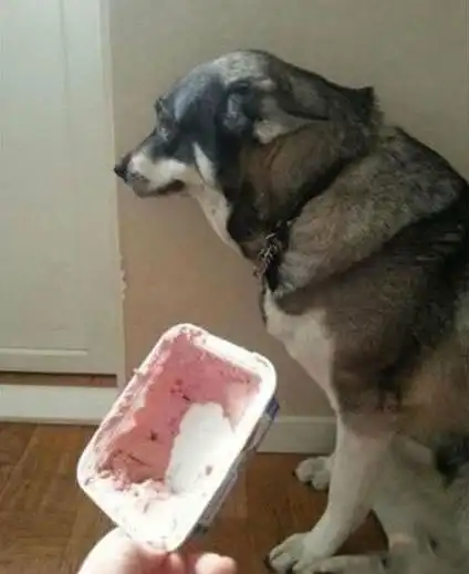 幽默笑话你要是早知道自己找不到对象,那这些年你该有多难过啊