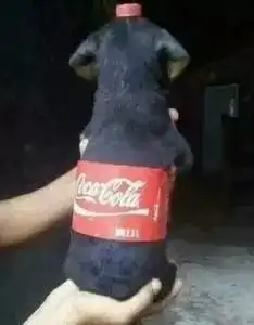 夏天和什么颜色更搭我说是它