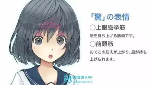 各种漫画表情怎么画人物表情绘画技法