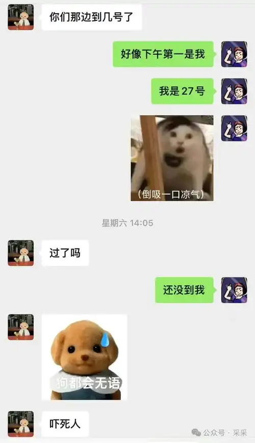 毕业季大型破防现场导师的神回复,我真的怼不动