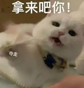 520送束现金花可能就凉凉了