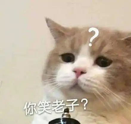 表情包气氛搞起来