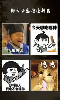 表情in下载表情in下载4.06安卓版河东软件园